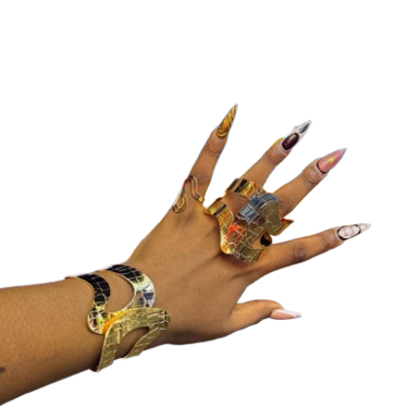 Crocodile Pattern Bracelet & Ring Set